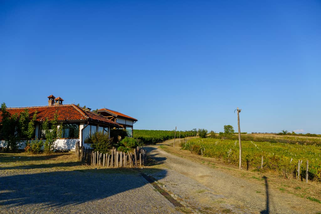 Vinarija Nika gallery 8